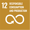 12. Responsibility in production and consumption
